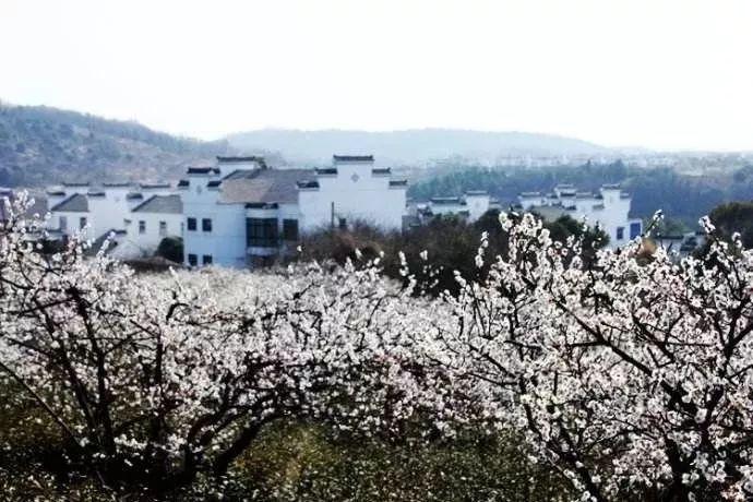 逃离废弃楼层4