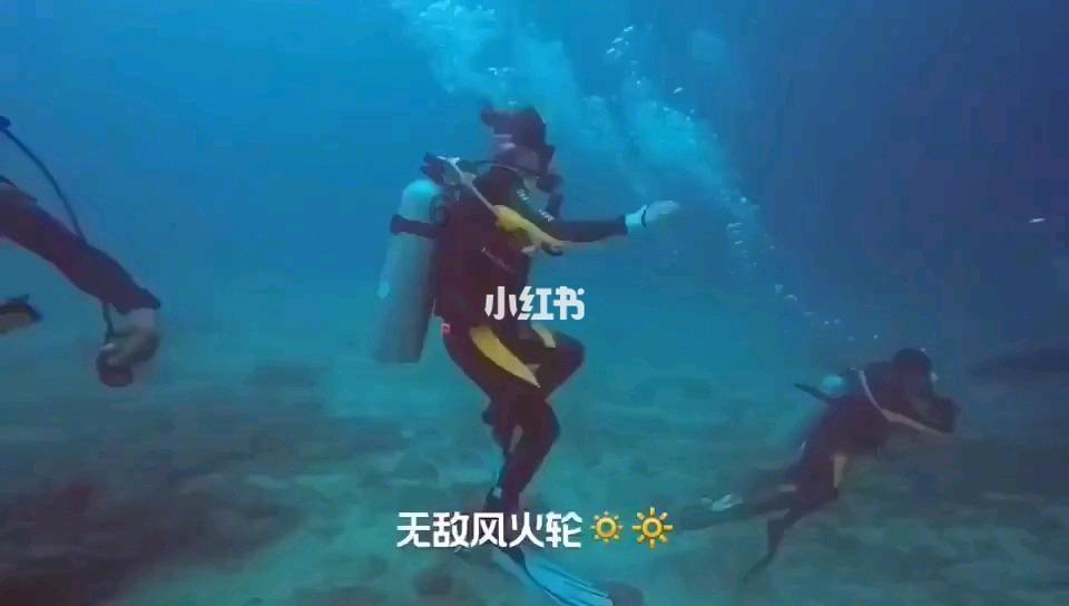蓝狐视频