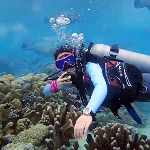 海滩宾馆逃生