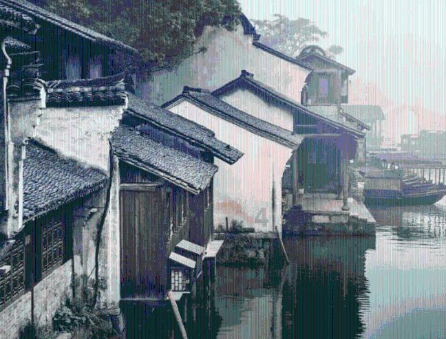马看到什么,是由人决定的