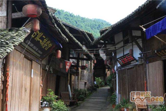 逃离阴森的岛屿