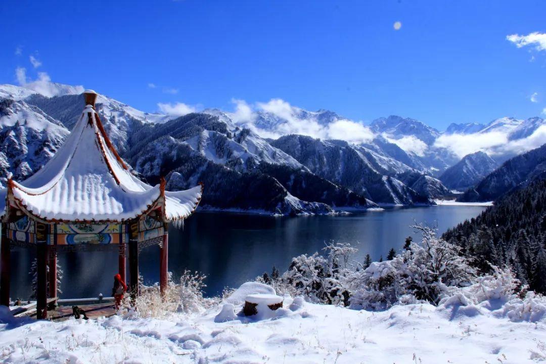 国资委：聚焦“五个着力”全面提升央企价值创造力
